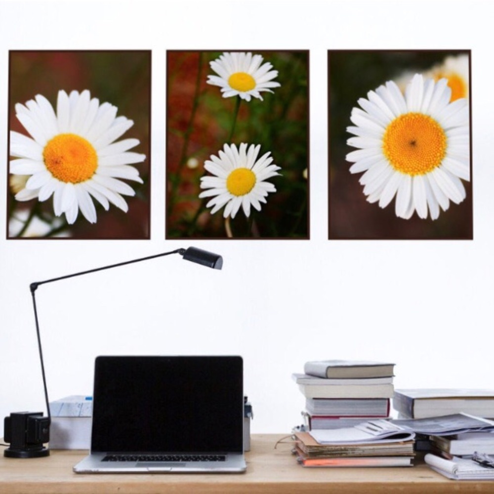 Original Daisy wall art set of 3 8x10 pictures